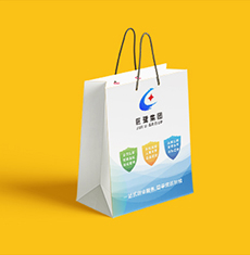 廈門手提袋設計_手提袋設計方案